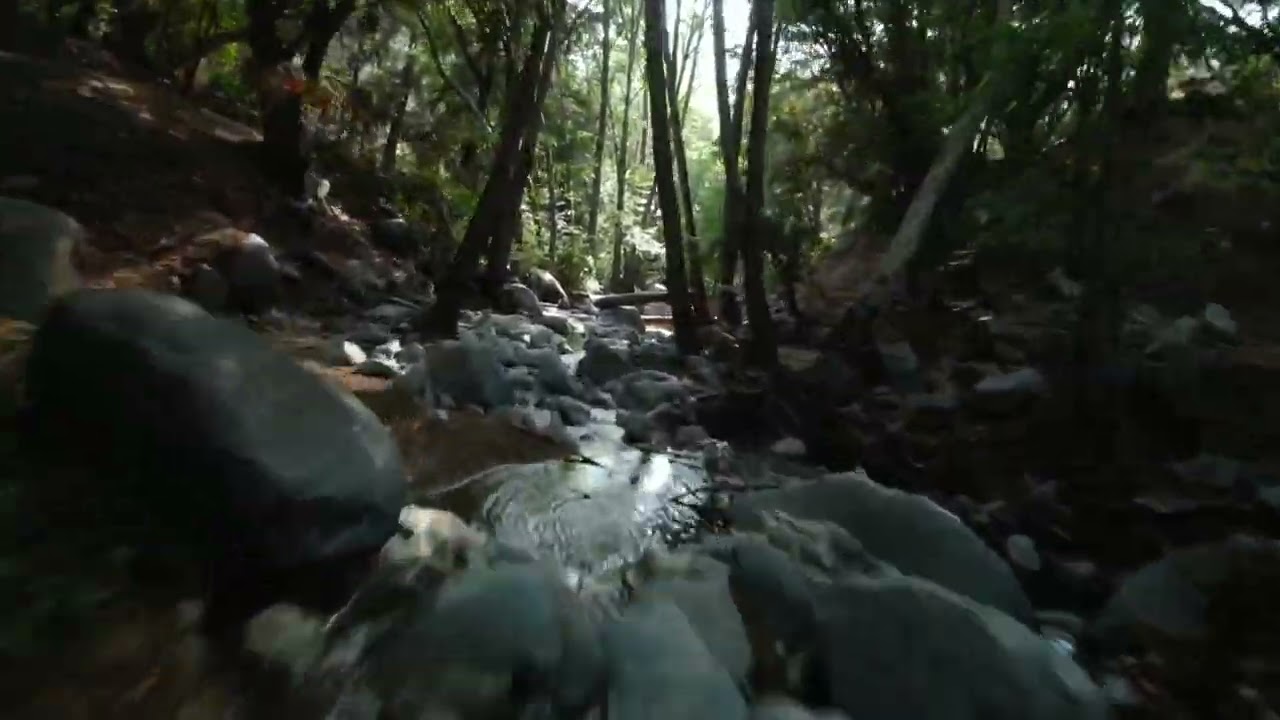FPV cinewhoop drone